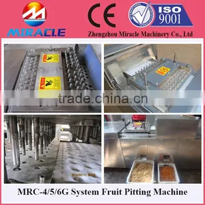 Fast Delivery Date Palm Core Seed Removing Machine From Fruit Process thumbnail-1