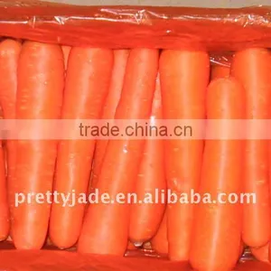 Fresh Carrots thumbnail-1