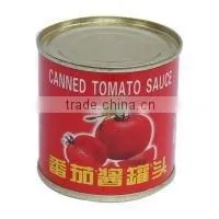 Canned Tomato Paste for 198g*48tins thumbnail-1