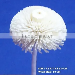 Sola Flower thumbnail-1
