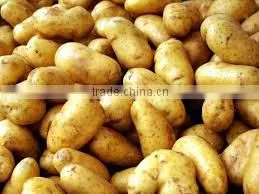 Fresh Potatoes thumbnail-1