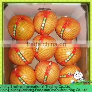 China Fujian Pomelo thumbnail-1