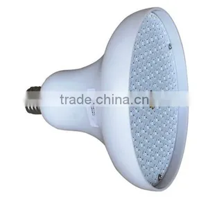 120V/12V 18W/30W Color Changing LED Bulb for American Pentair Niche Replacement thumbnail-1