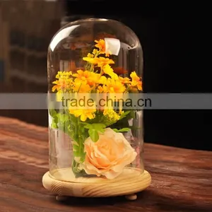 New Hot Sale Mini Dome Cloches thumbnail-1