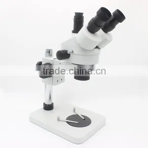 FSM-45T1 Scanning Stereo Microscope thumbnail-4
