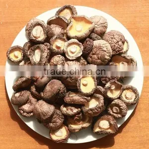 High Quality Mushroom thumbnail-1