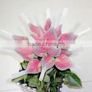 Netting for Cut Flowers thumbnail-2