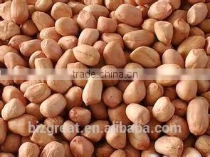 Supplying Raw Bulk Peanut Kernele Baisha Type for Sales thumbnail-4