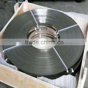 Titanium Mesh Ribbon thumbnail-1