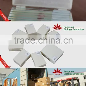 Microscope Prepared Slides ,Seed Slides, Seedling Prepared Slides thumbnail-1