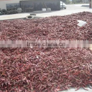 Red Dried Chilli thumbnail-1