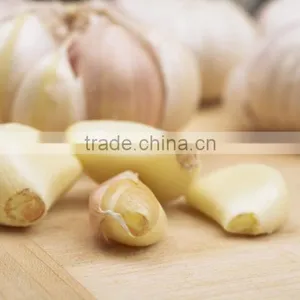 Peeled Garlic CCD Belt Color Sorter Machine thumbnail-2
