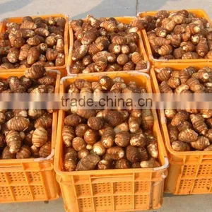 Fresh Taro 50g 60g Specification thumbnail-5