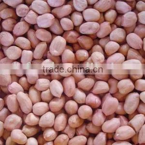 Chinese Fresh Peanut Kernels thumbnail-1