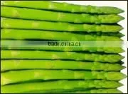 Green Asparagus thumbnail-1