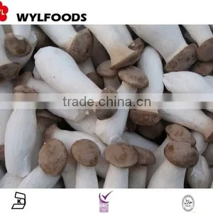 Mushroom Frozen IQF Pleurotus Eryngii 2015 High Quality thumbnail-1