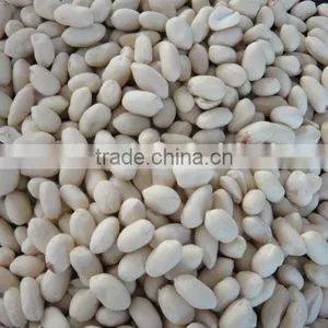Blanched Peanut Kernels thumbnail-1