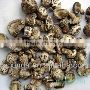 Dried Sping Mushroom With Stem 01 thumbnail-1