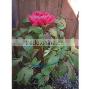 Outdoor Flower Metal Stick thumbnail-1