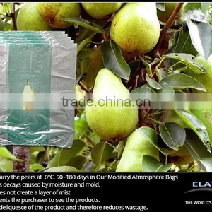 Melon Bag thumbnail-3
