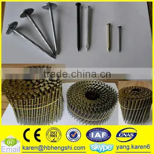 Umbrella Head Iron Nails, Galvanized Nails, Iron Nails,coil Nails, Nails Supplier thumbnail-6