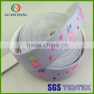 New Hot Sale Products Polyester Webbing Strap on Market thumbnail-4