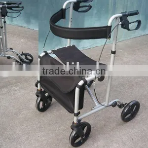 Rolling Walker thumbnail-1