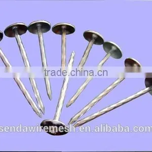 Common Nails/roofing Nails /iron Nails thumbnail-4