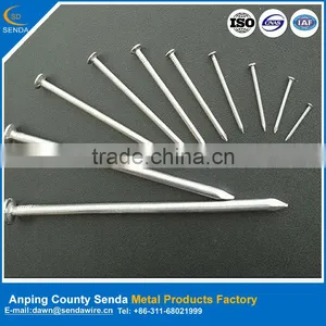 Zinc Coated Common Nails thumbnail-1