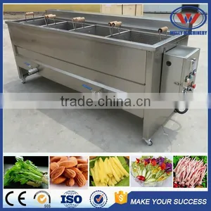Hot Sale Factory Price Advanced Design Vegetable and Fruit Blanching Machine thumbnail-2
