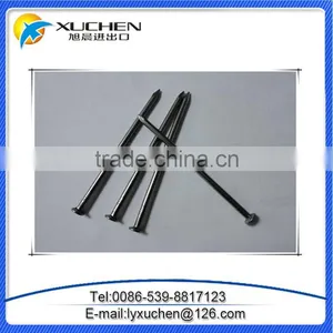 Good Quality 15cm Common Nails/polished Iron Nail / Standard Wire Nail thumbnail-1