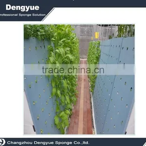 Agricultural Polyurethane High Densuty Vegetables Seedling Planting Sponge thumbnail-6