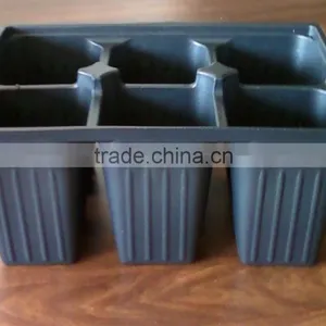 Growing Vegetable Transplants in Plug Seed Nursery Trays 8 Cell thumbnail-1