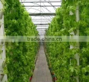 Convenience High Quality Hydroponic System thumbnail-1