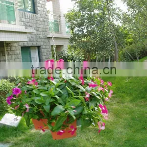 Flower Pot,hanging Flower Planter thumbnail-6