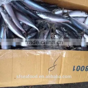 Fish Lures of Frozen Mackerel thumbnail-1