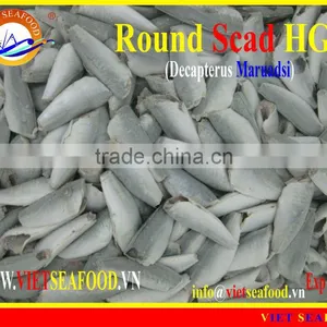FROZEN HGT HORSE MACKEREL thumbnail-1