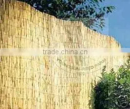 Factory Wholesale Peeled Reed Fence thumbnail-3