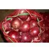 Export Fresh Red Onion thumbnail-1