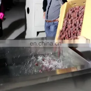 High Spray Fruit and Vegetable Washing Machine Red Date Washing Machine Spinach Washing Machine thumbnail-1