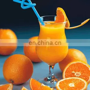 Multi-purpose Fruit And Vegetable Juicer / Industrial Pineapple Juice Extractor Machine | Pineapple Juice Extractor Machine thumbnail-5