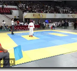 Electronic Protective Equipment for Combat Competitions thumbnail-5