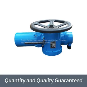 Bernard Multi-rotary Electric Actuator DZW10 Switch Type Valve Electric Device thumbnail-3
