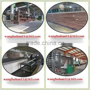 Poplar Lvl Made in China/poplar Lvb Made in China/poplar for Malaysia Packing thumbnail-6