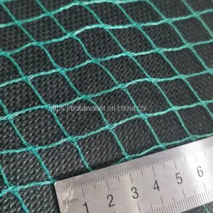 Agriculture Garden Protection Net Mesh High Strength HDPE Warp Knitted Green Bird Netting thumbnail-4