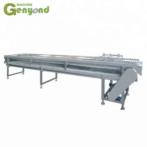 Fruit and Vegetables Ultrasonic Washer Industrial thumbnail-4