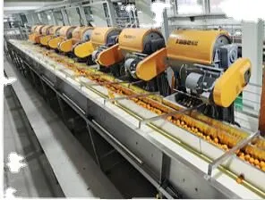 Industrial Capacity Juicer Big Promotion High Speed Screw Juice Orange & Apple Juice Machine thumbnail-2