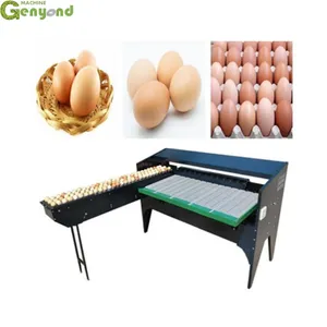 Egg Grading Machine Automatic Egg Sorting Machine Chicken Egg Sorter for Homeuse thumbnail-4