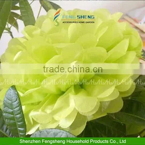10" Tissue Paper Pompoms Flowers Ball Wedding Table BabyShower Decoration thumbnail-6