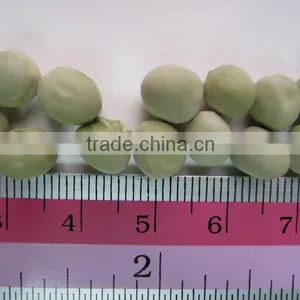 Green Peas Dried US Origin thumbnail-6